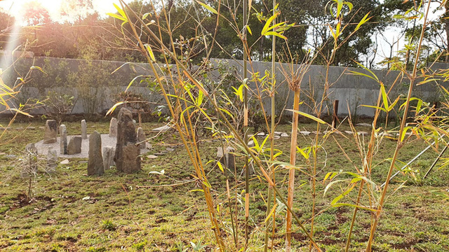 Zen Garden của Đặng Lê Nguyên Vũ thu vé vào cổng bằng… cây 4 vuon-zen-gan-1ha-trong-to-hop-bds-cua-ong-dang-le-nguyen-vu-vua-khai-truong-xay-theo-kien-truc-chua-lanh-than-tam-tri-thu-ve-vao-cong-bang-cay-5.jpg